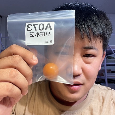 【闪购商品】石英石铁合金073