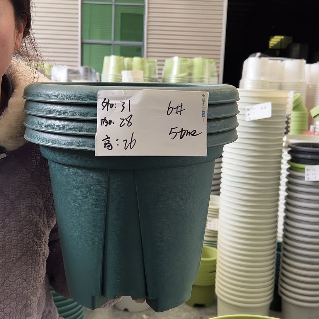 青山盆6#墨绿5个无托
