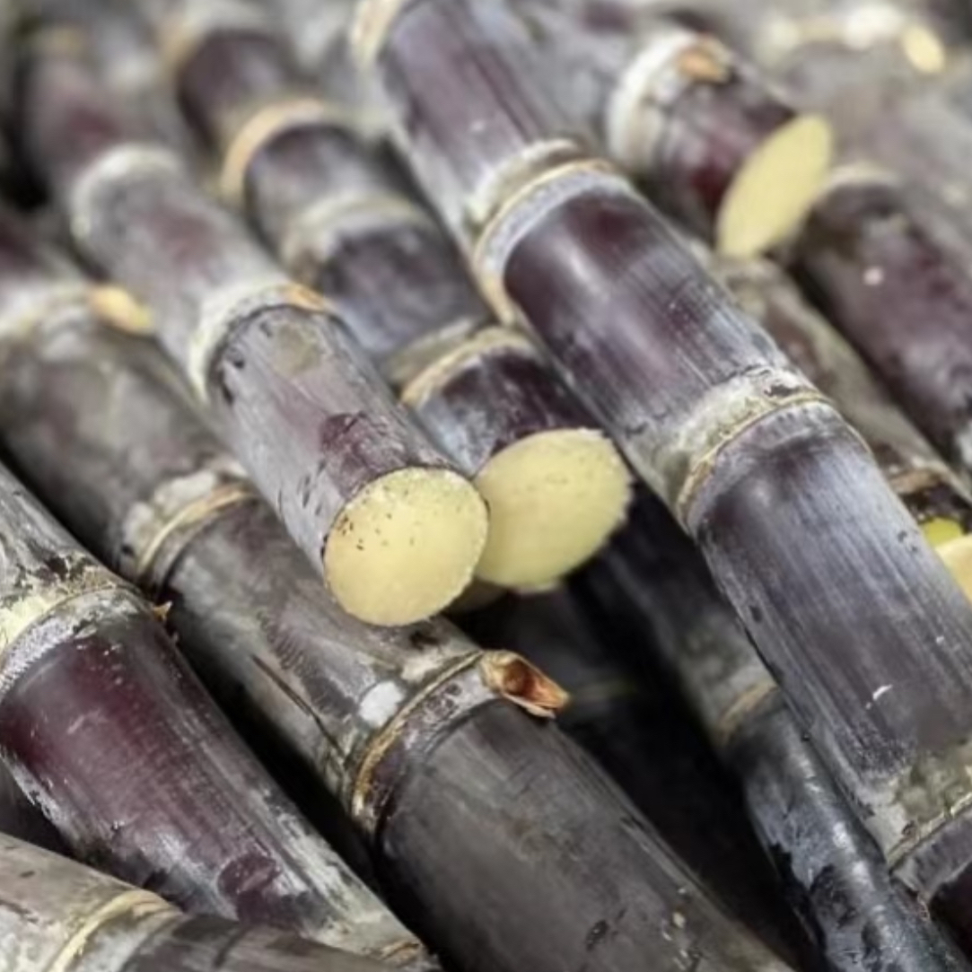 爆甜黑糖甘蔗（1根）
