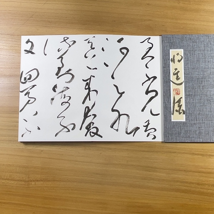 书法中书协老师作品