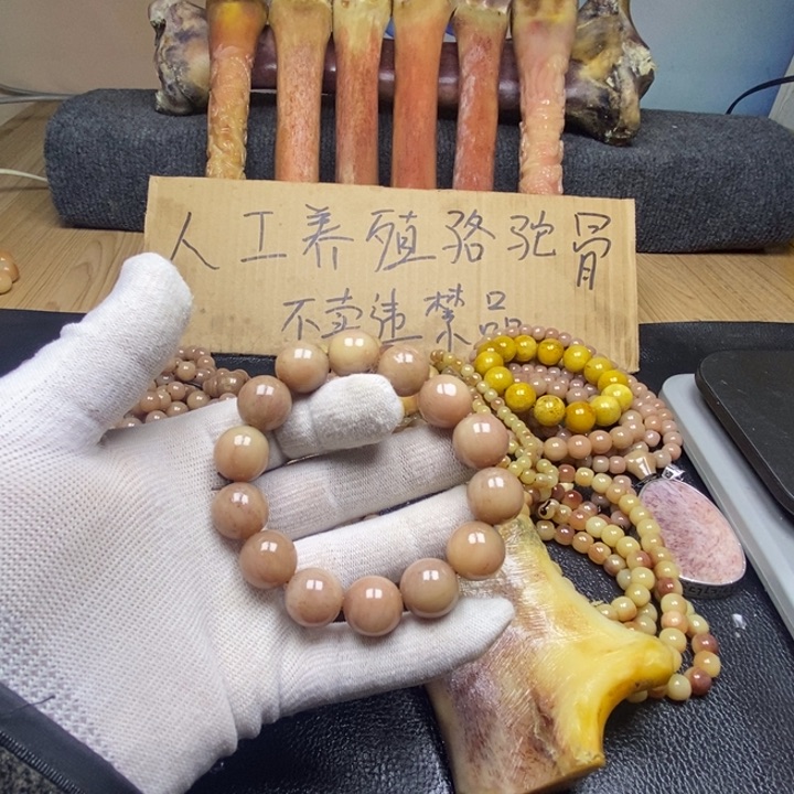驼骨手串/手链34556544
