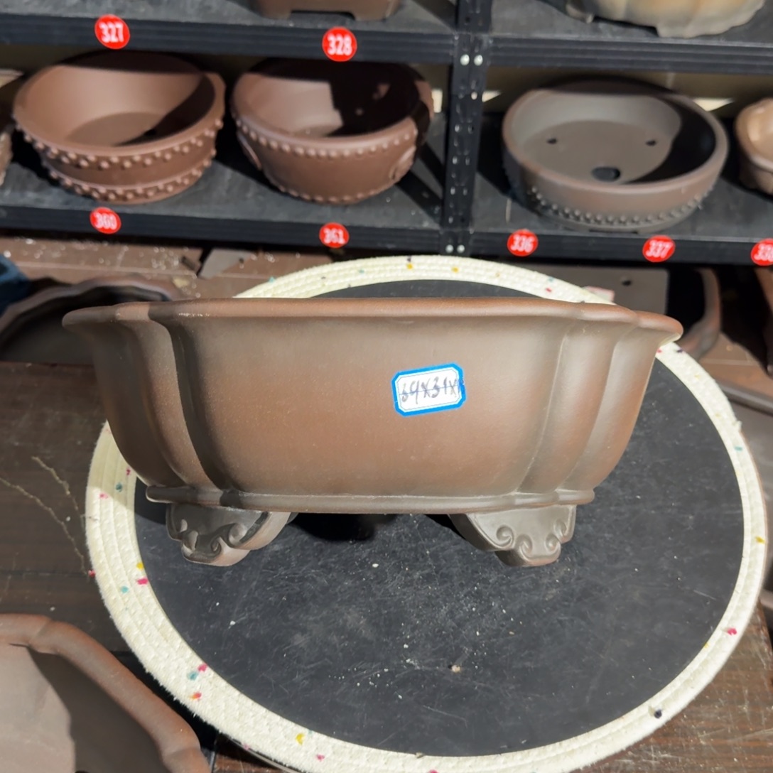 紫砂呜呜呜我的宝呜呜呜我的宝