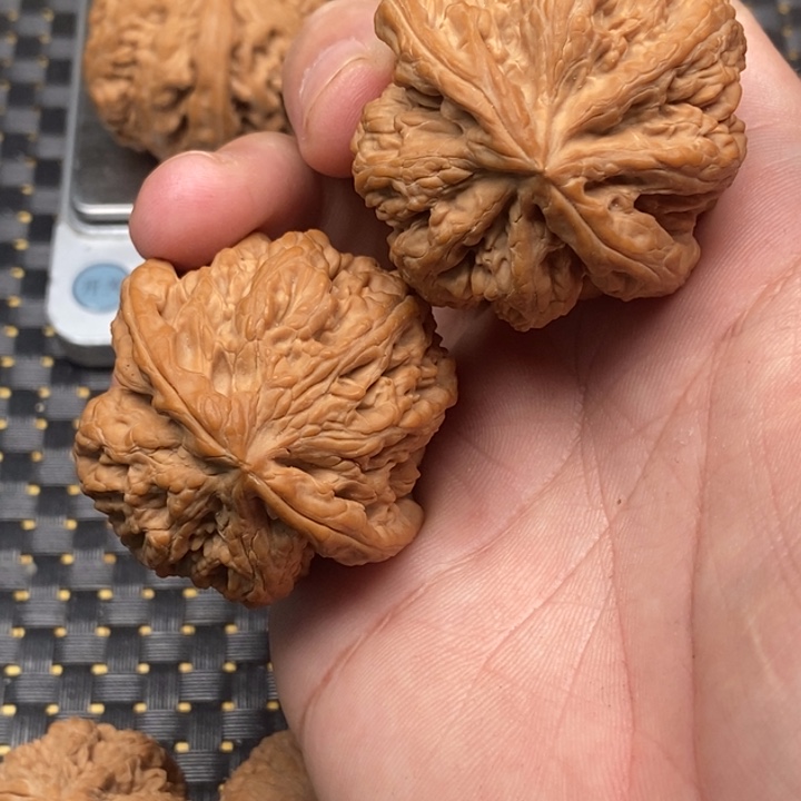 文玩核桃吊坠君****4粗筋