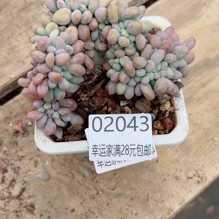 幸运的是我没有遇到过