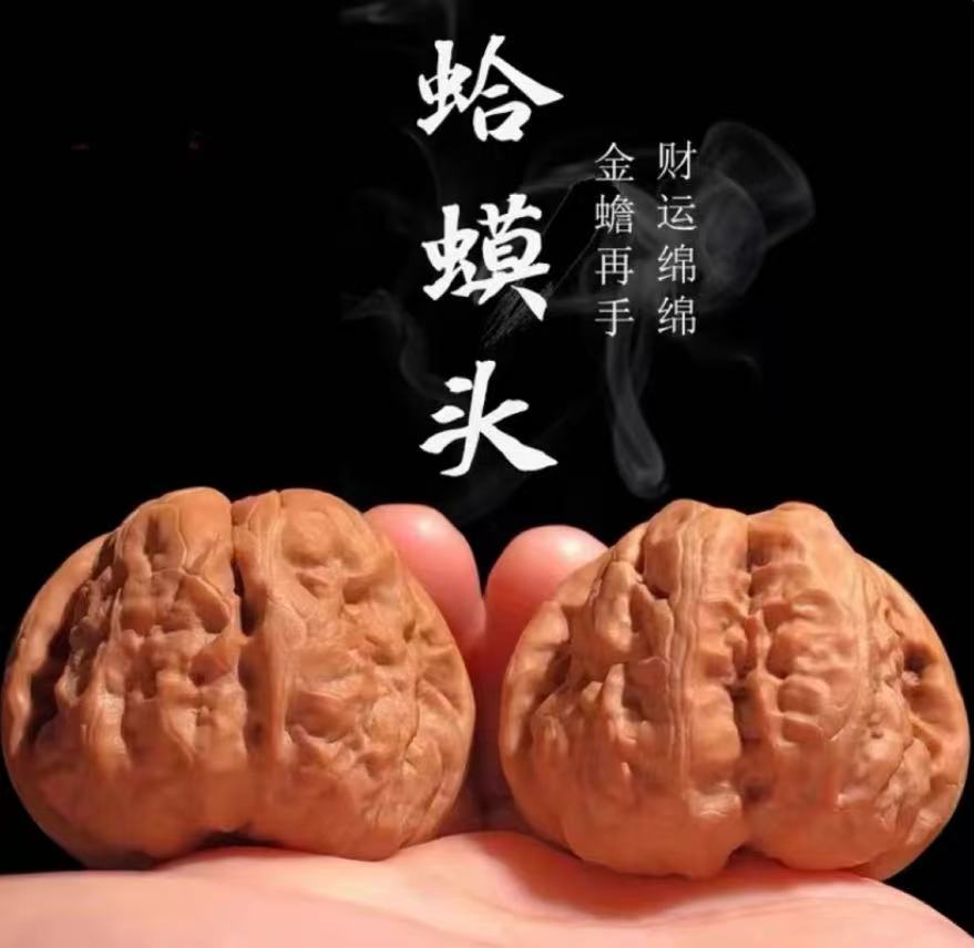 正宗老树全品文玩核桃蛤蟆头手盘玩把件儿