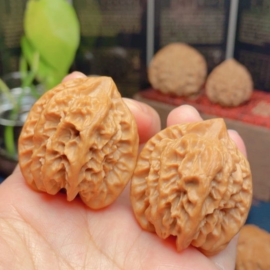 文玩核桃吊坠36凹底曹大龙