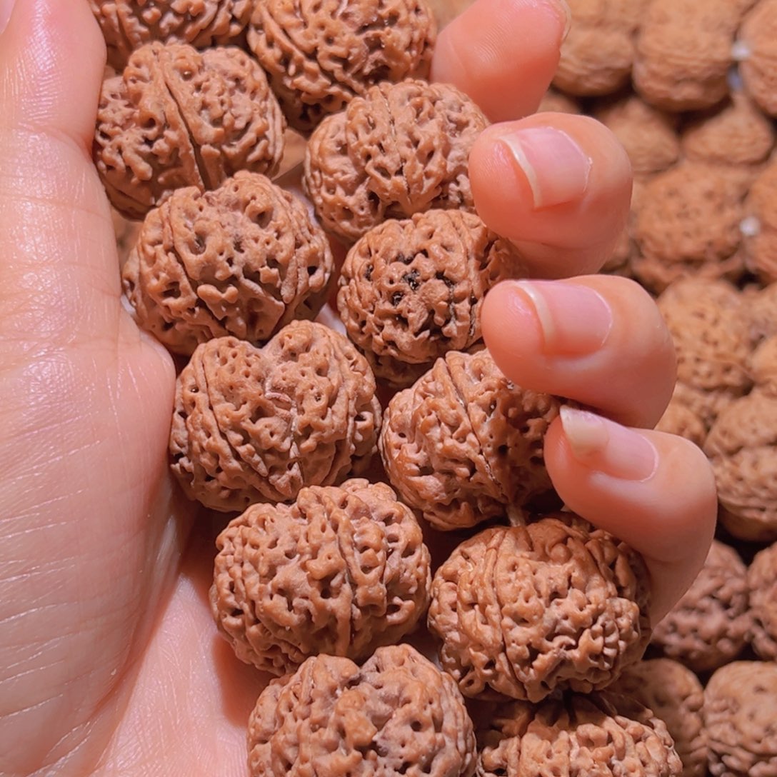 金刚菩提手串蜂王