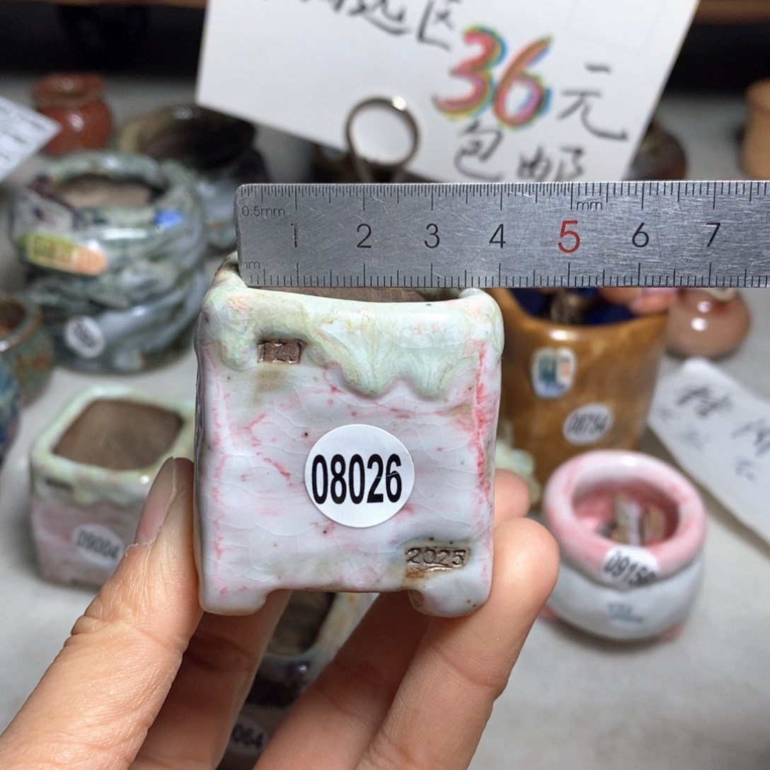 花盆双十二活动不退不换的原38元一个