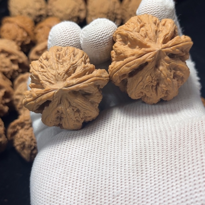 文玩核桃大粗筋43