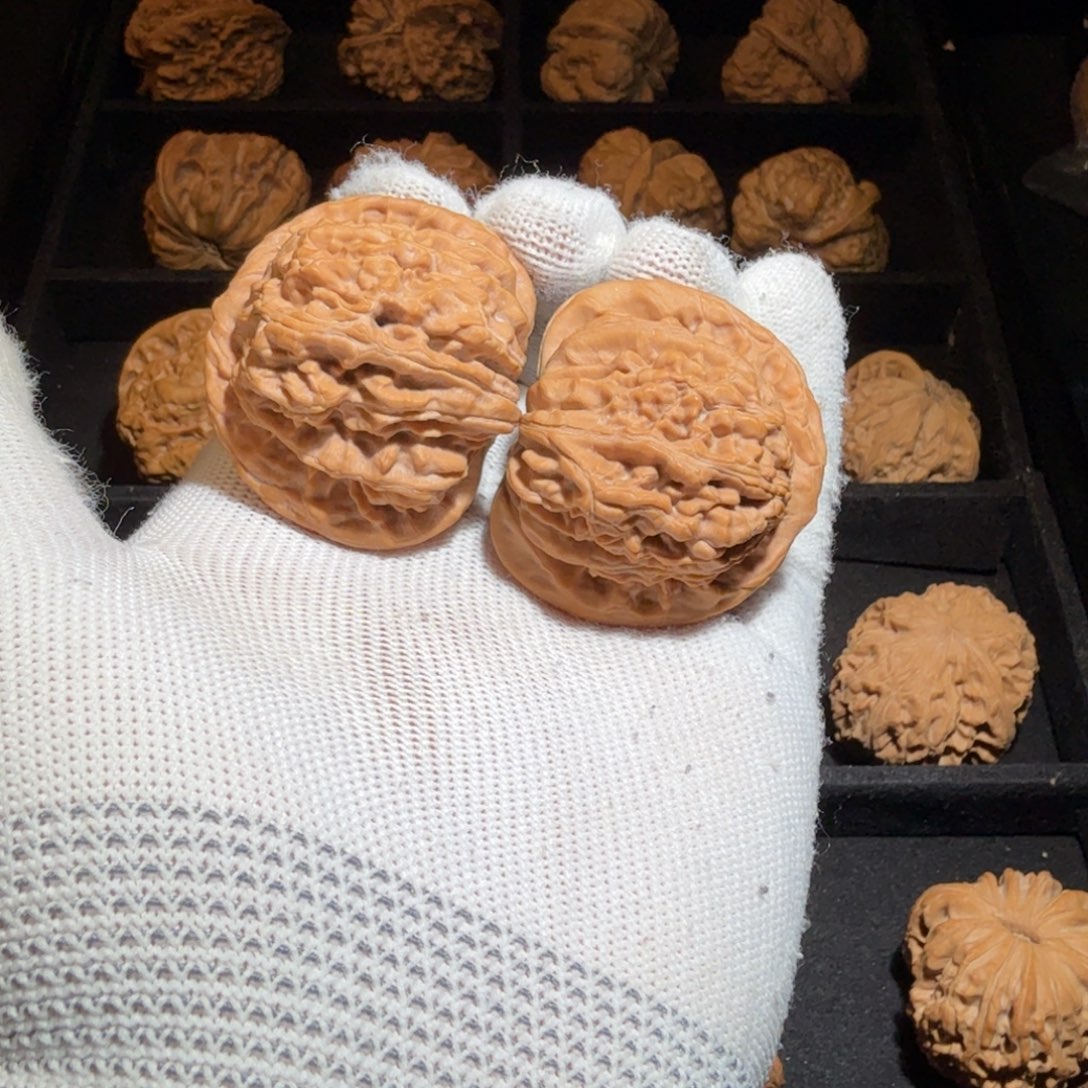 把件文玩核桃A4全品无修菊花四座楼狮子头