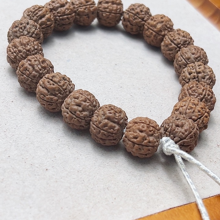 古树跳跳龙单圈原皮15➕