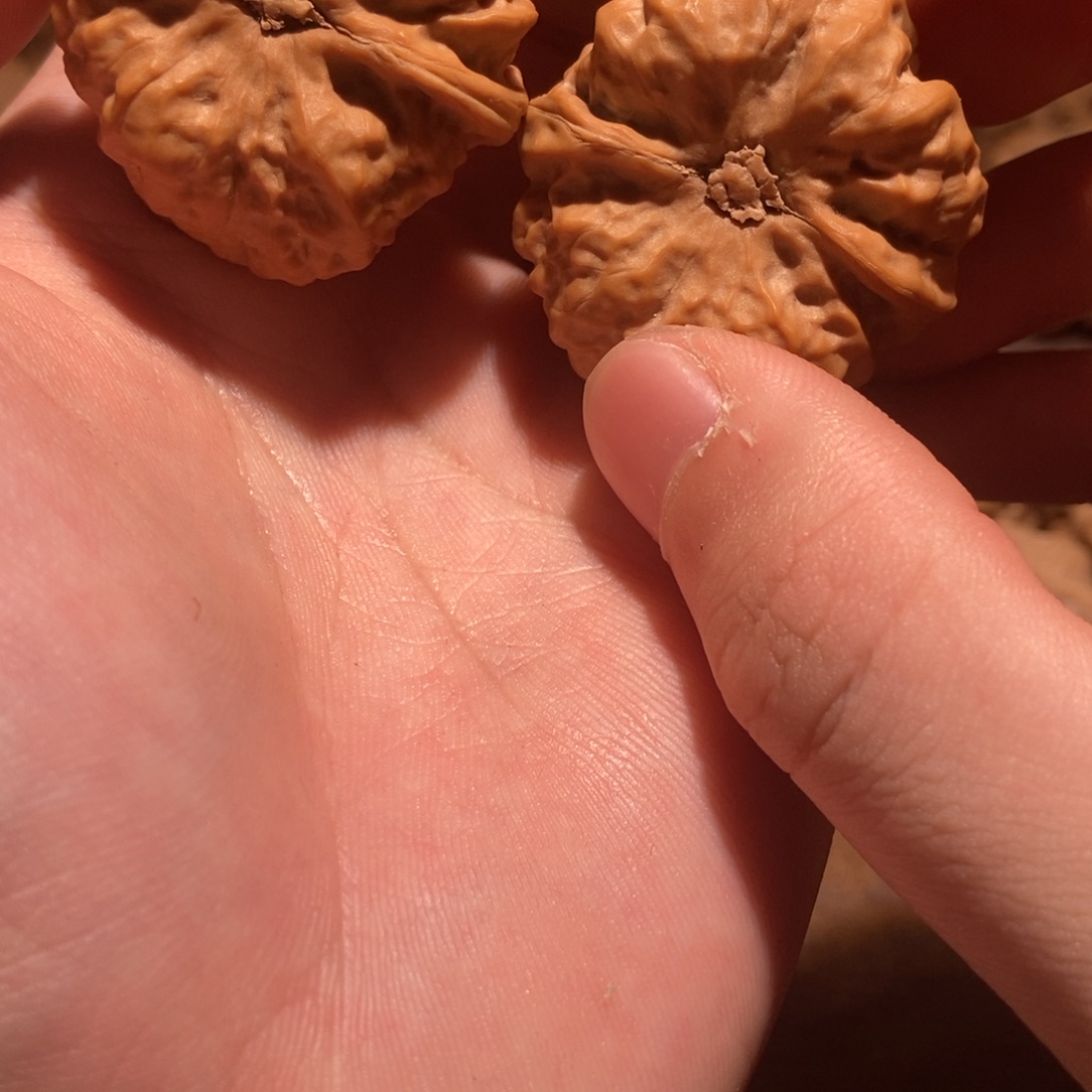 帮***堡吊坠文玩核桃蛤蟆头D40