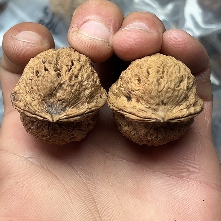 把件文玩核桃28号草莓34尺