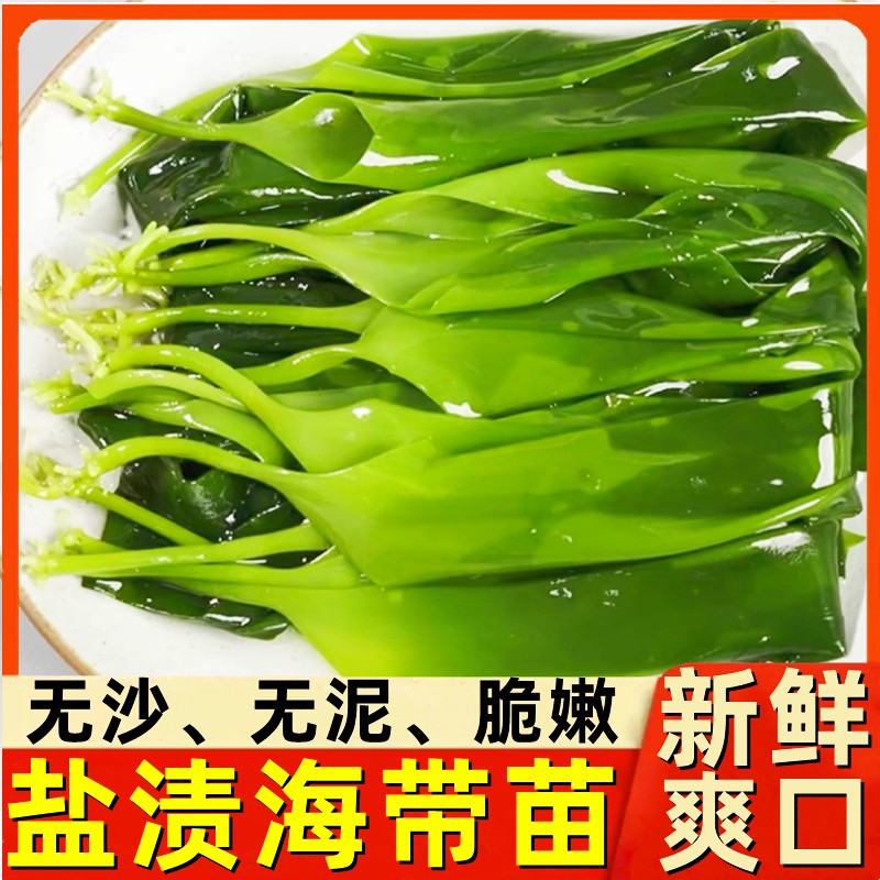  新鲜盐渍海带苗嫩苗海带芽凉拌菜火锅专用食材非裙带菜