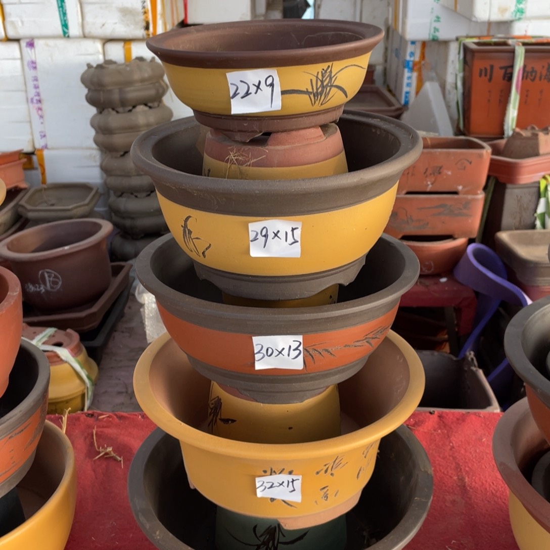 紫砂四号 一组五支