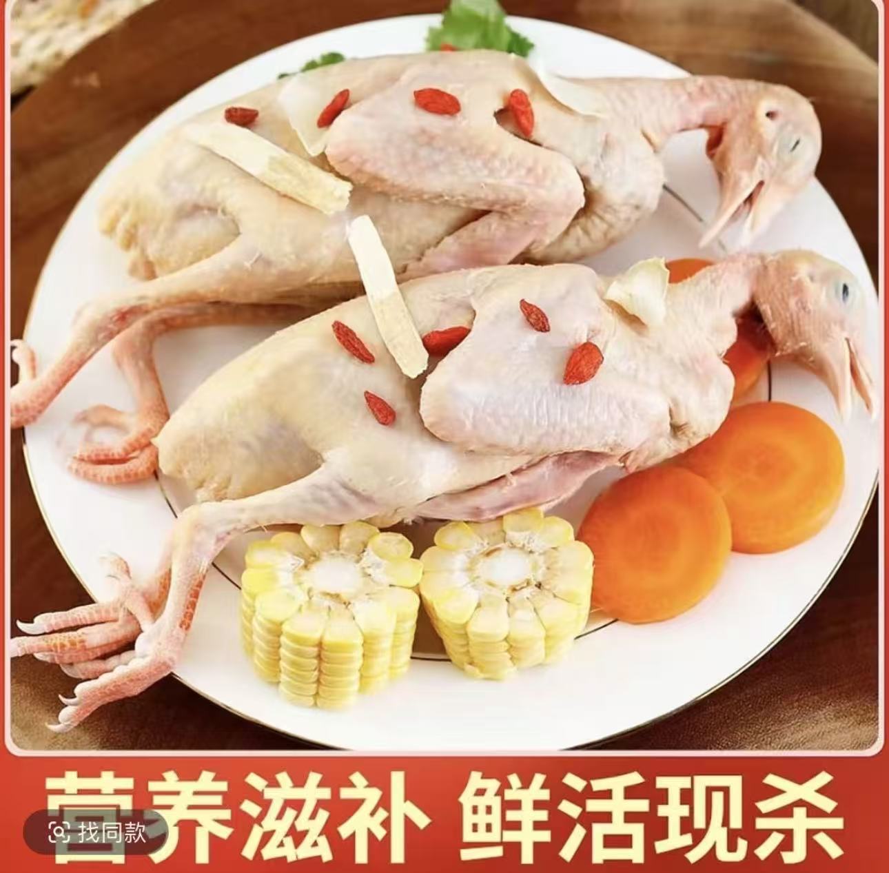 B[拍5送1]农家散养土鸽子新鲜现杀带内脏急冻锁鲜