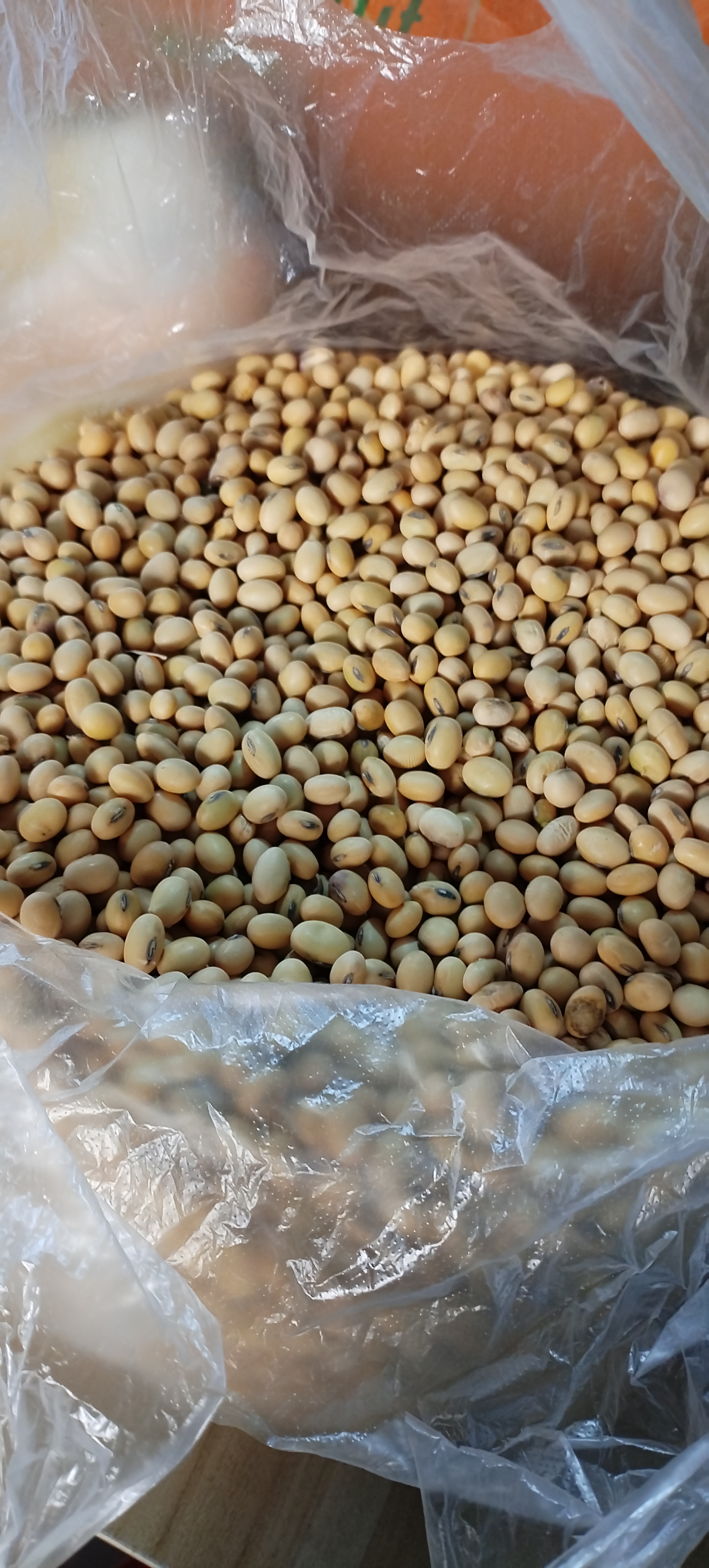 萝卜 缸豆  黄豆【干货类链接】