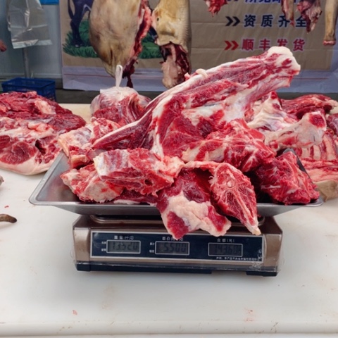 【闪购商品】冷冻保存30天包装河北省L*李