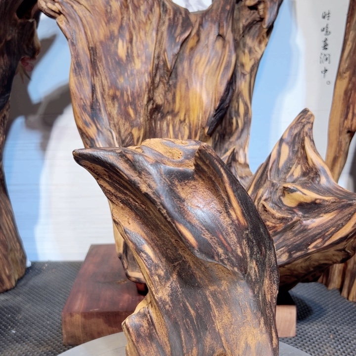 宝***1木直播间一物一拍