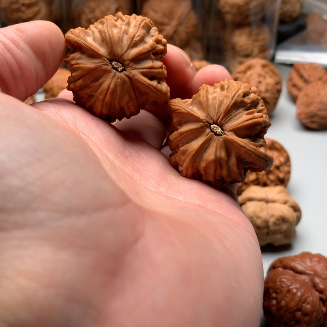 文玩核桃把件小***。