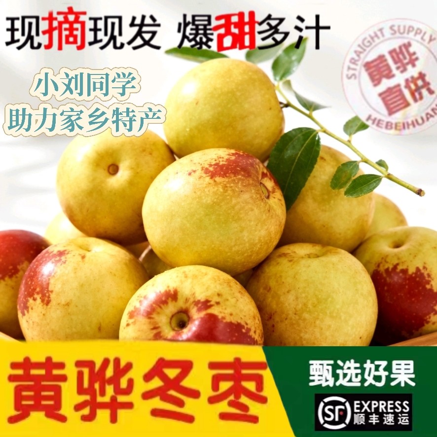 黄骅冬枣黄骅冬枣小刘同学现摘新鲜冬枣当季甜脆水果可口
