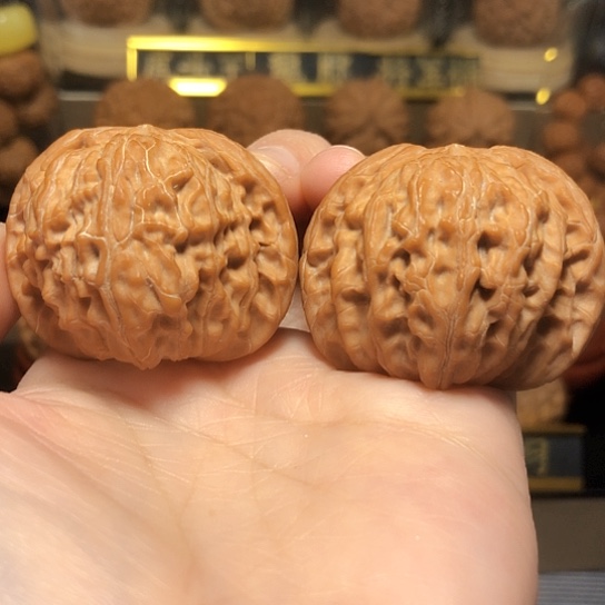 老树山地红皮正磨