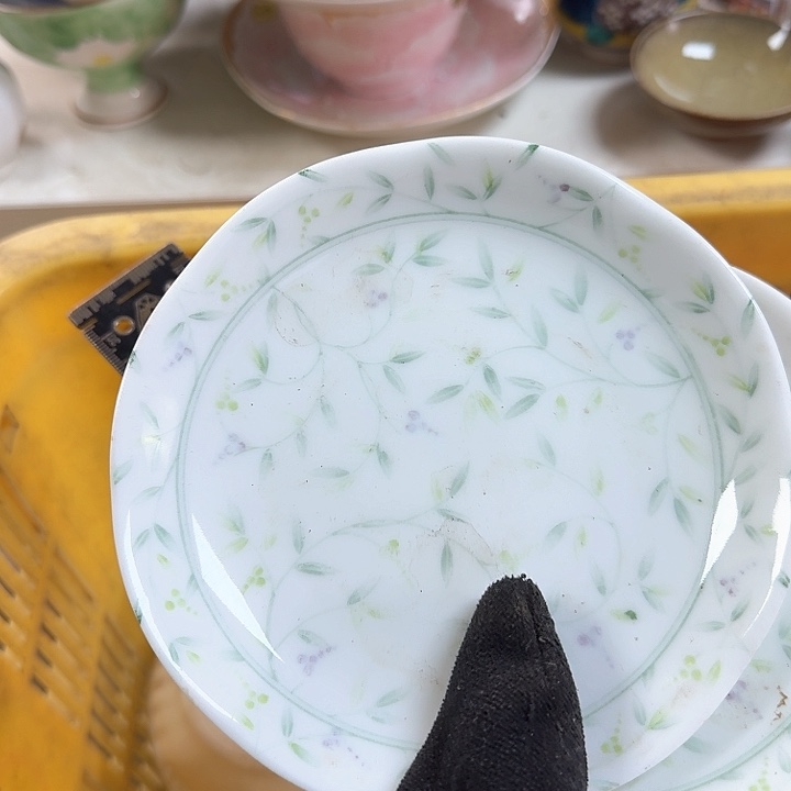 碗开播啦…..开播啦