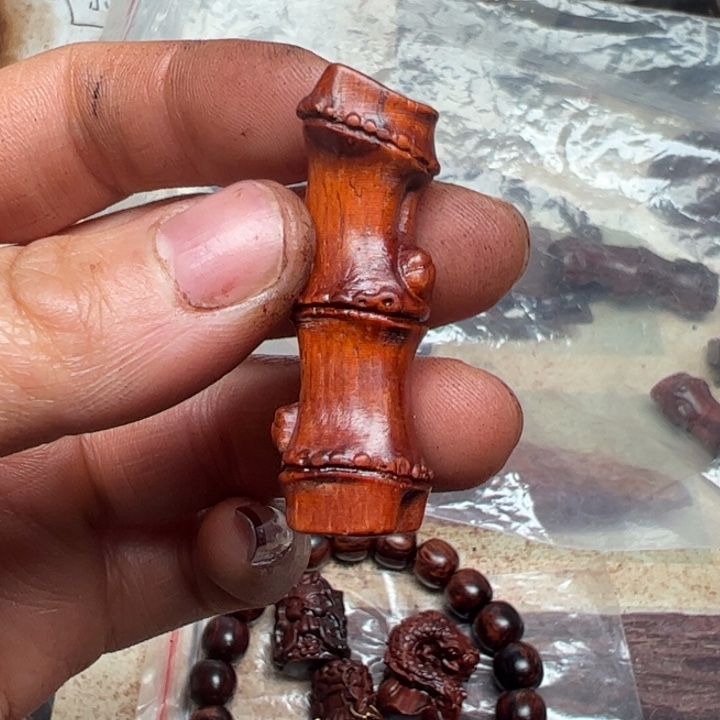 藤类海南红降竹节