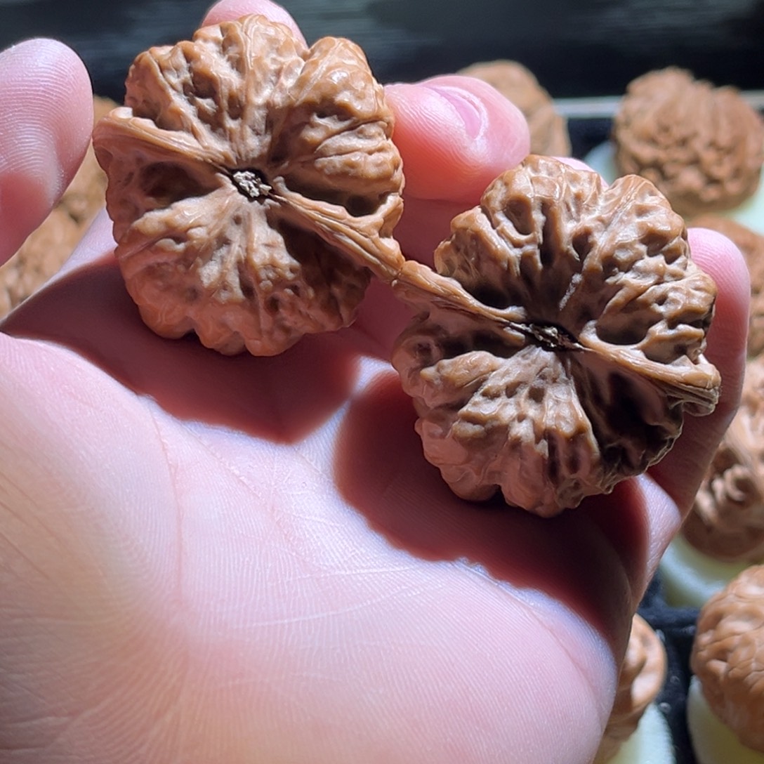 H***H吊坠文玩核桃蛤蟆q