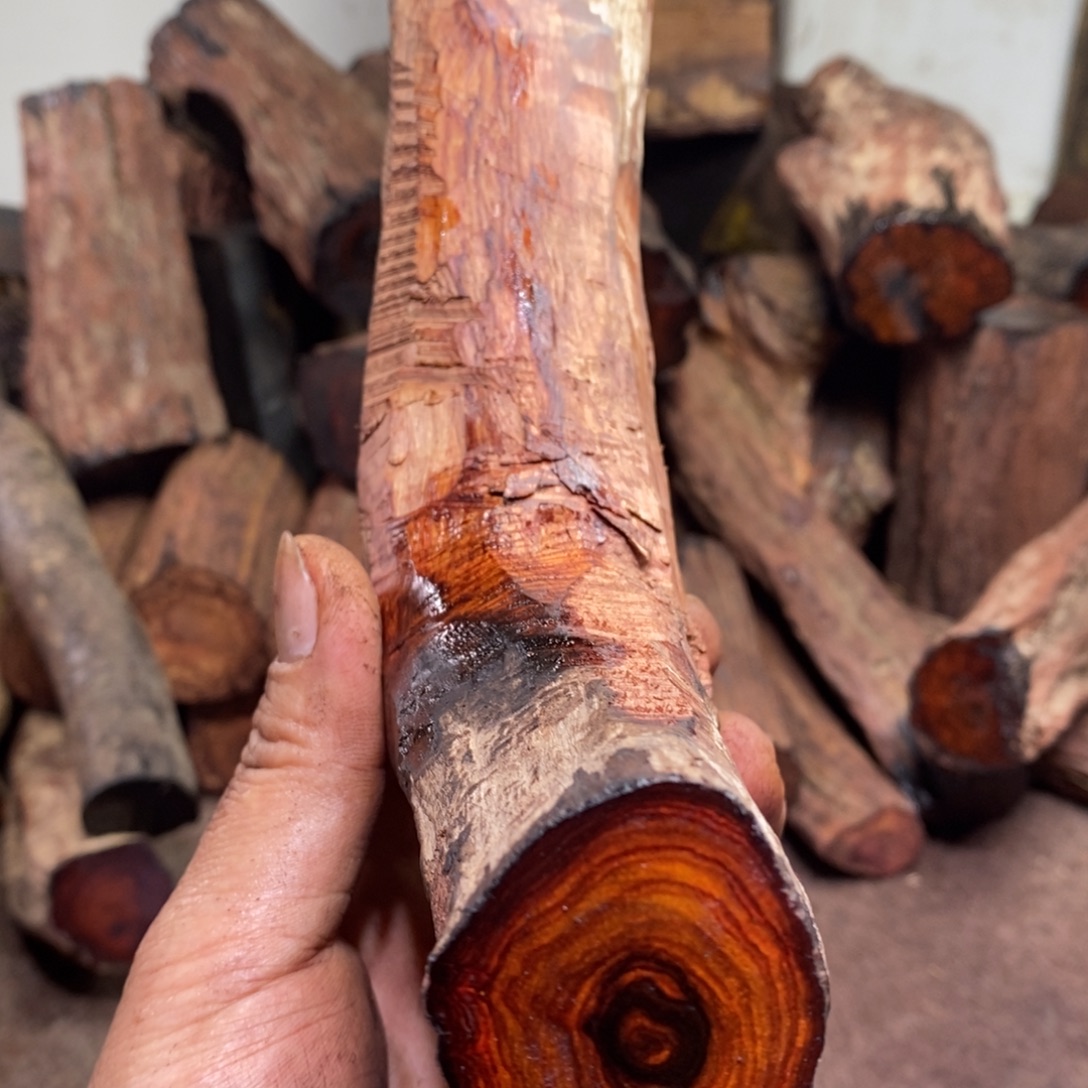 雨***风有机玻璃在线阅读是个