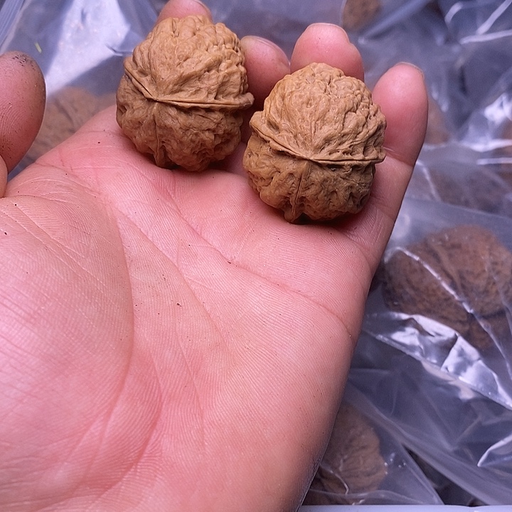 文玩核桃把件   112