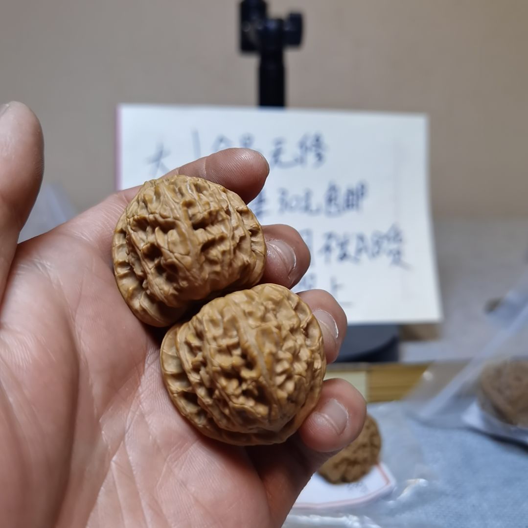 把件文玩核桃白狮子004