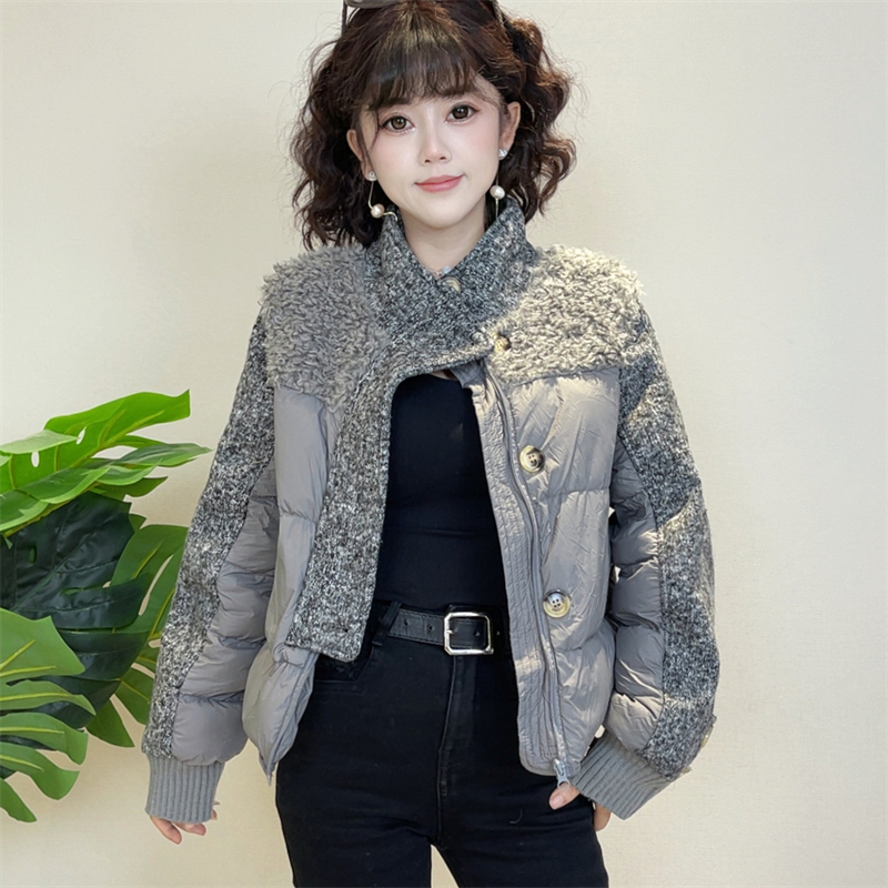 迪否立领设计感毛毛短款棉服外套2025冬季保暖时尚女士上衣2328