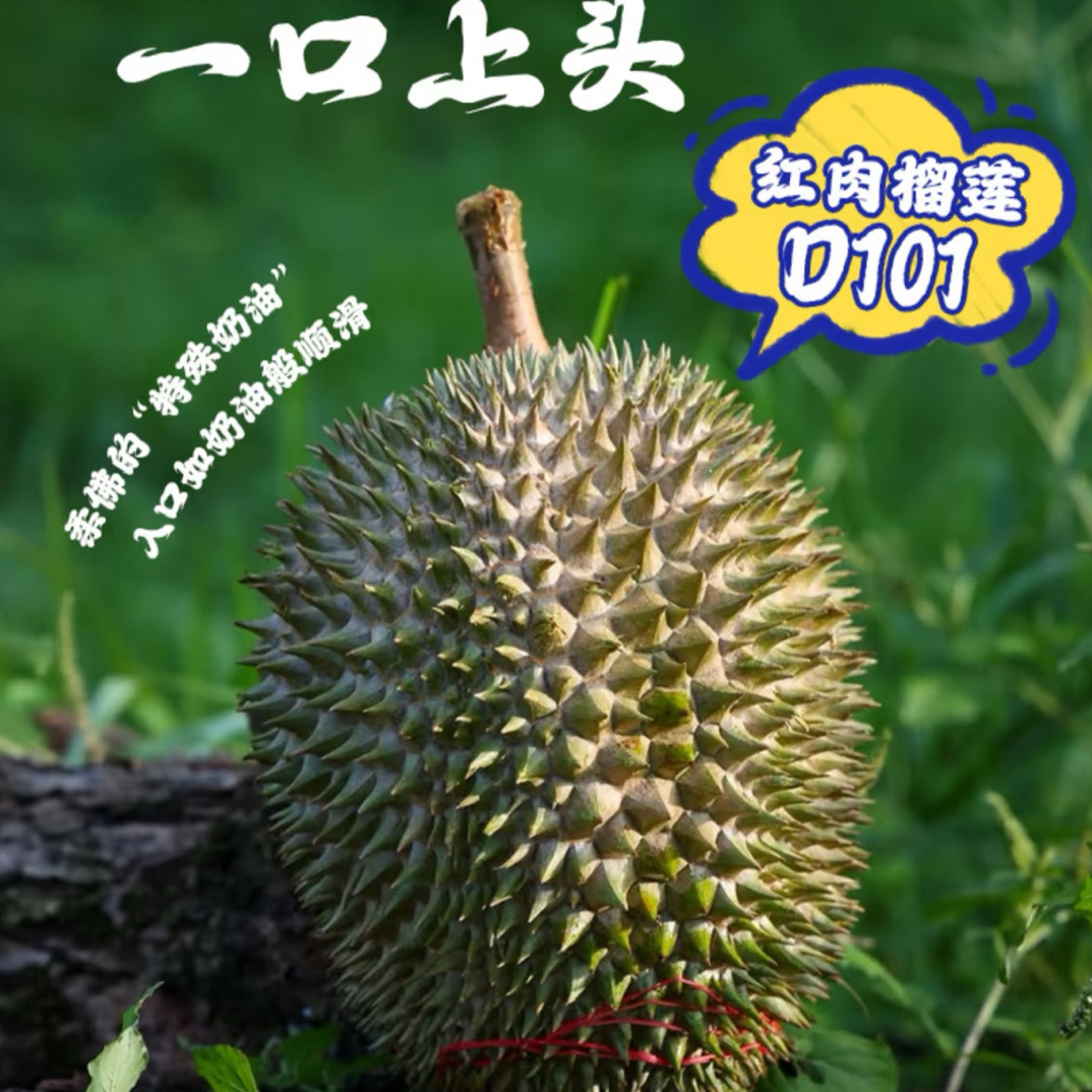 马来西亚红肉D101榴莲五斤左右新鲜整果核大核小红肉马来西亚