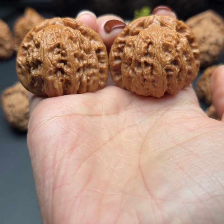 核桃41全品白狮子