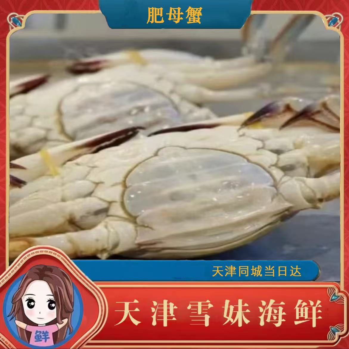 【保鲜不保活】精品吃肥母蟹2-5斤 单只2-3两 