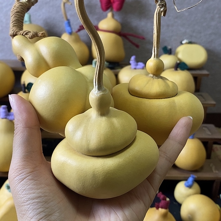 天然葫芦自然生长钱袋乌龟