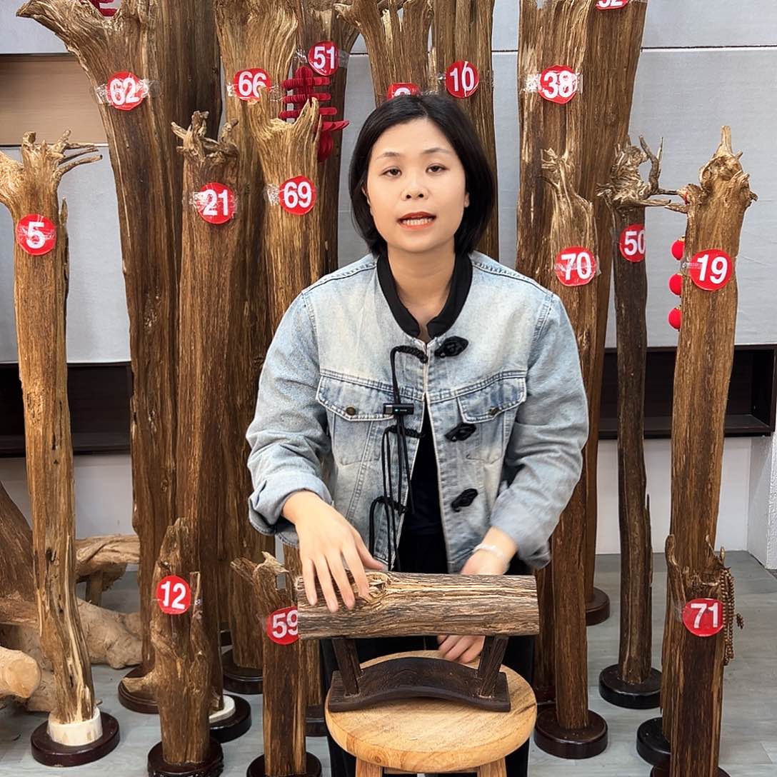 沉香摆件海南沉香摆件