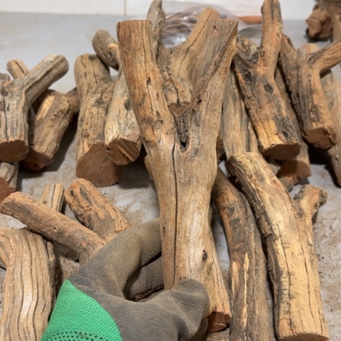 大果紫檀（缅甸花梨）君*笑