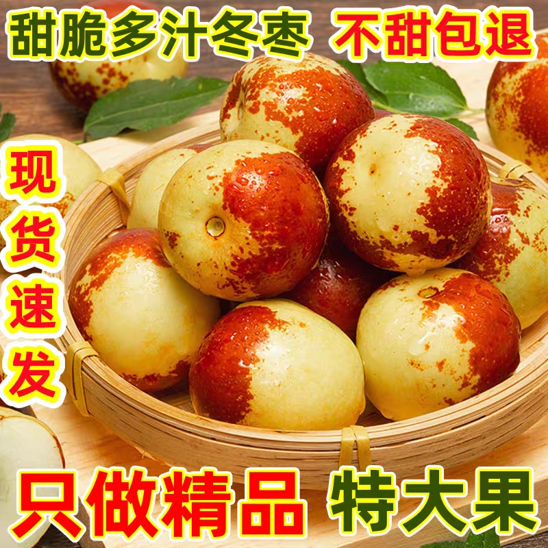山东沾化冬枣新鲜冰糖脆甜特大5斤包邮孕妇水果现货当季