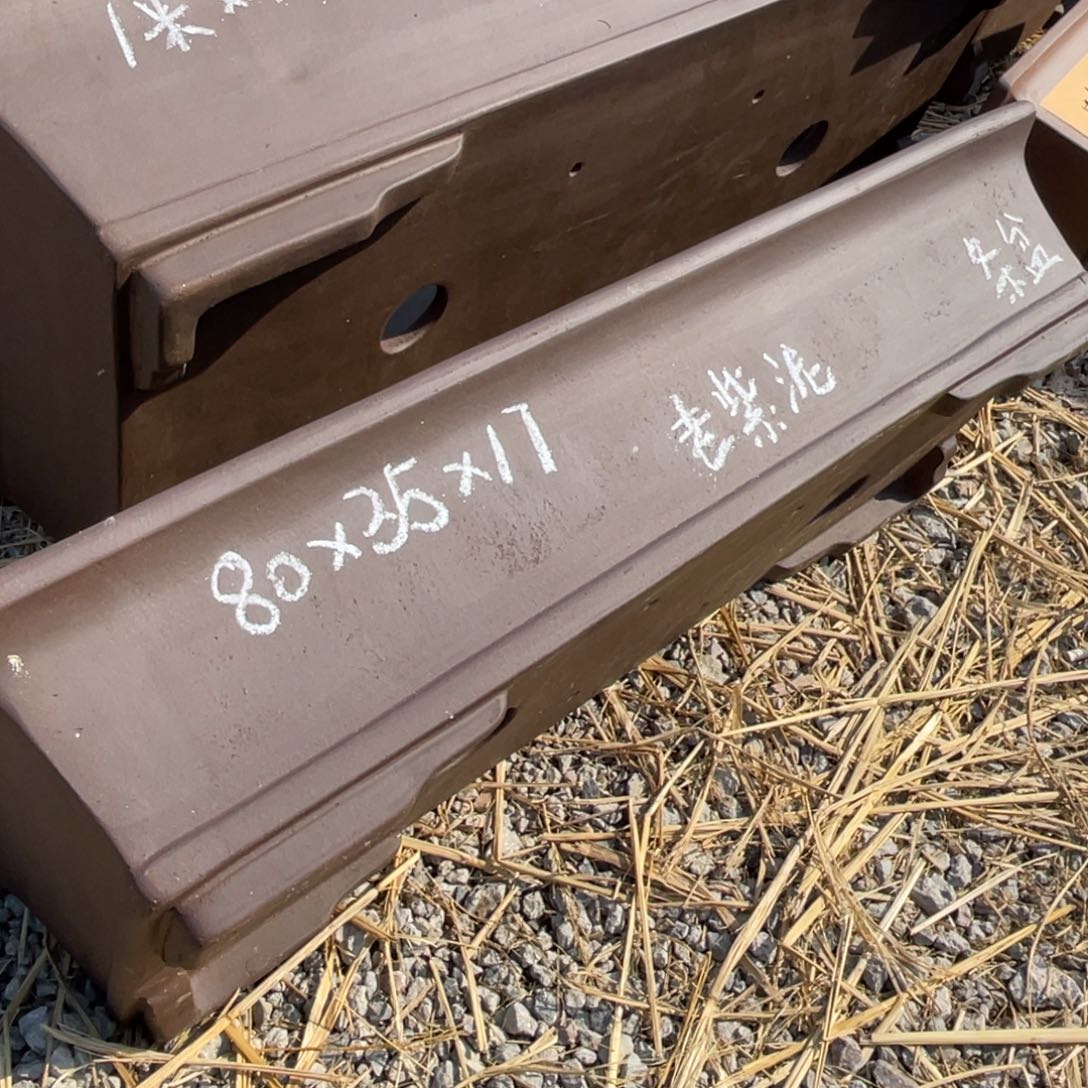 紫砂祥*80cm 一只 