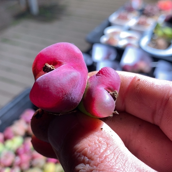 啊*涵19261一个一个一个