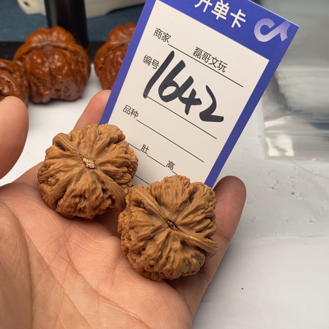 把件文玩核桃1642