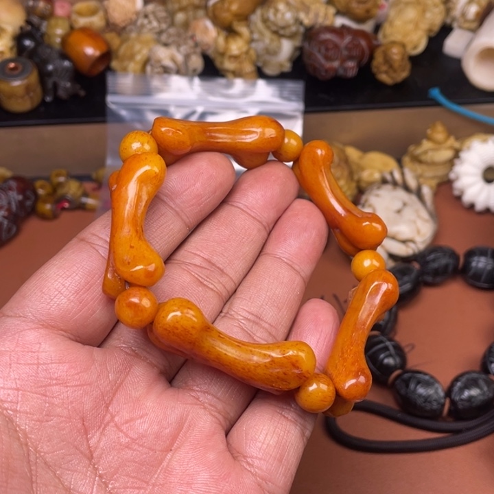 驼骨其他人工养殖