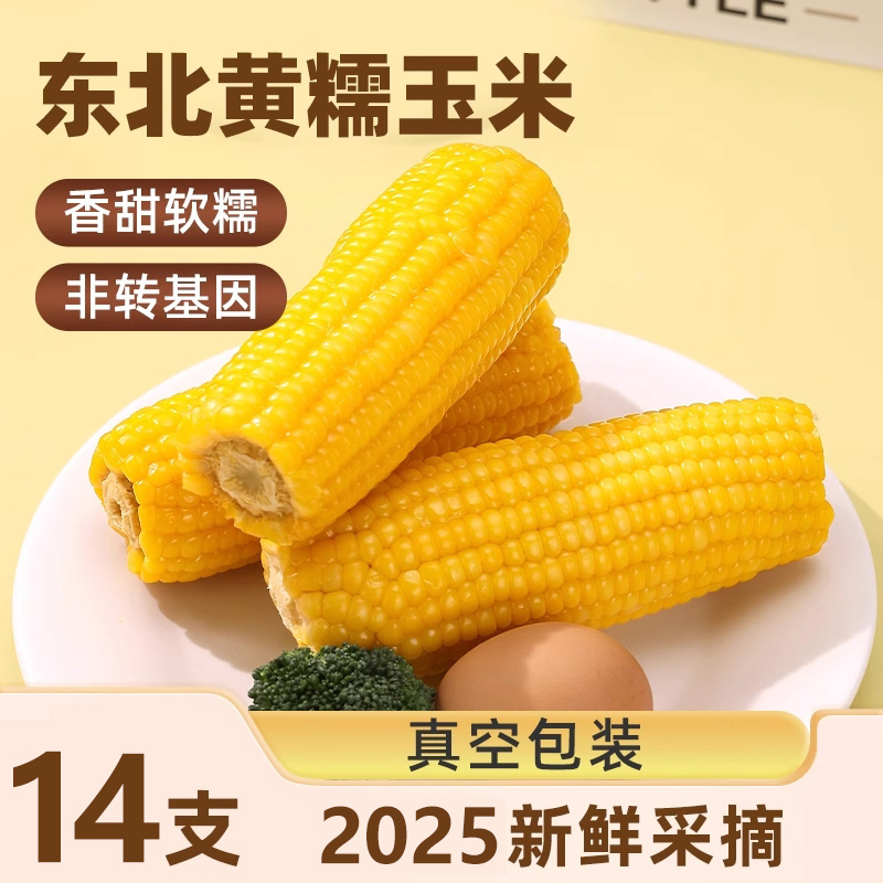 【可试吃两根】东北黄糯玉米当代餐糯玉米真空包装黏玉米整箱14根
