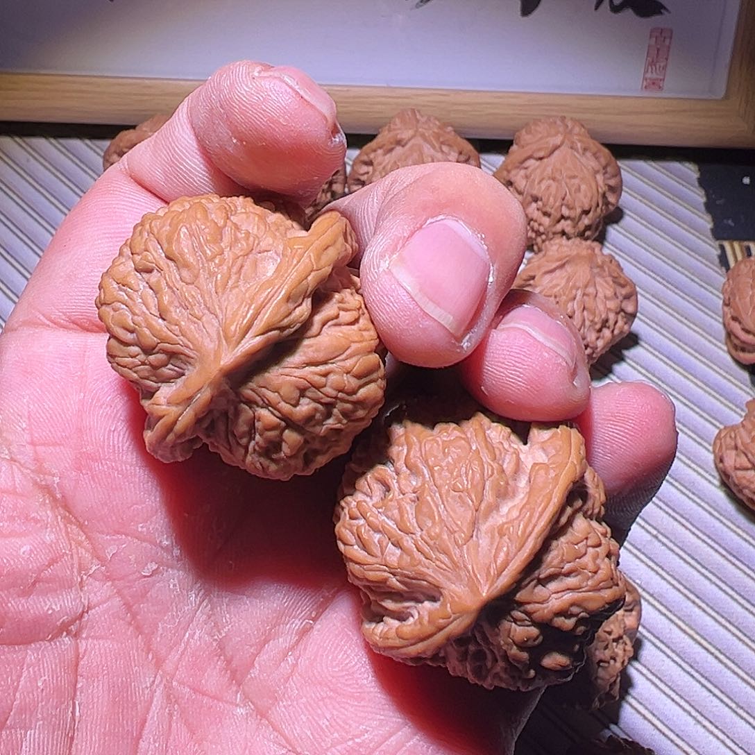 ****啊啊啊啊啊啊啊啊啊