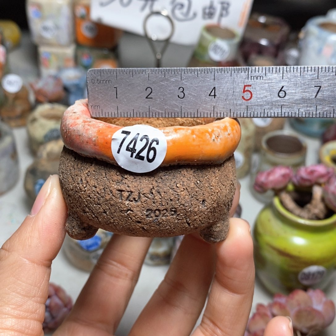 花盆拍3送一个小礼物