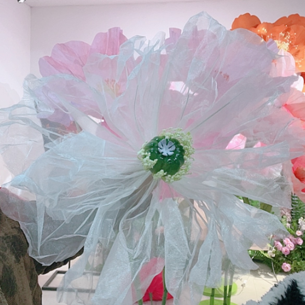 【闪购商品】单花头