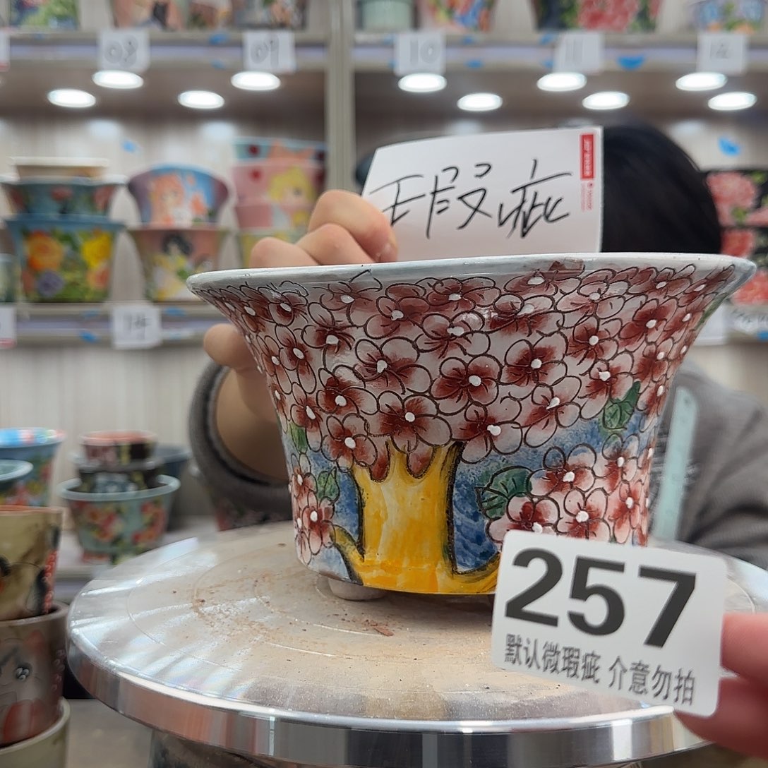 其他陶瑕疵瑕疵257