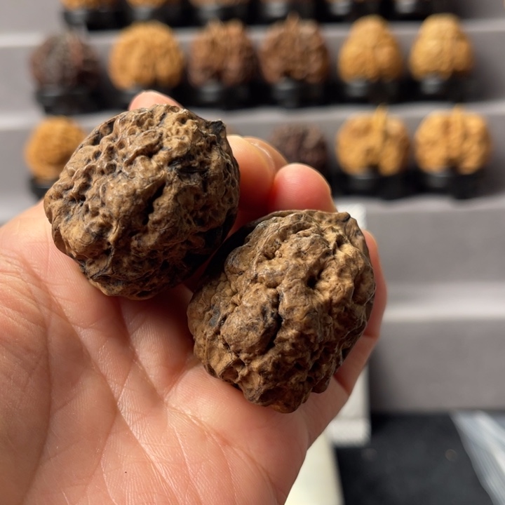 文玩核桃把件21-21